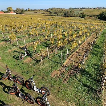 Maison 15 Sauternes Zewnętrze zdjęcie