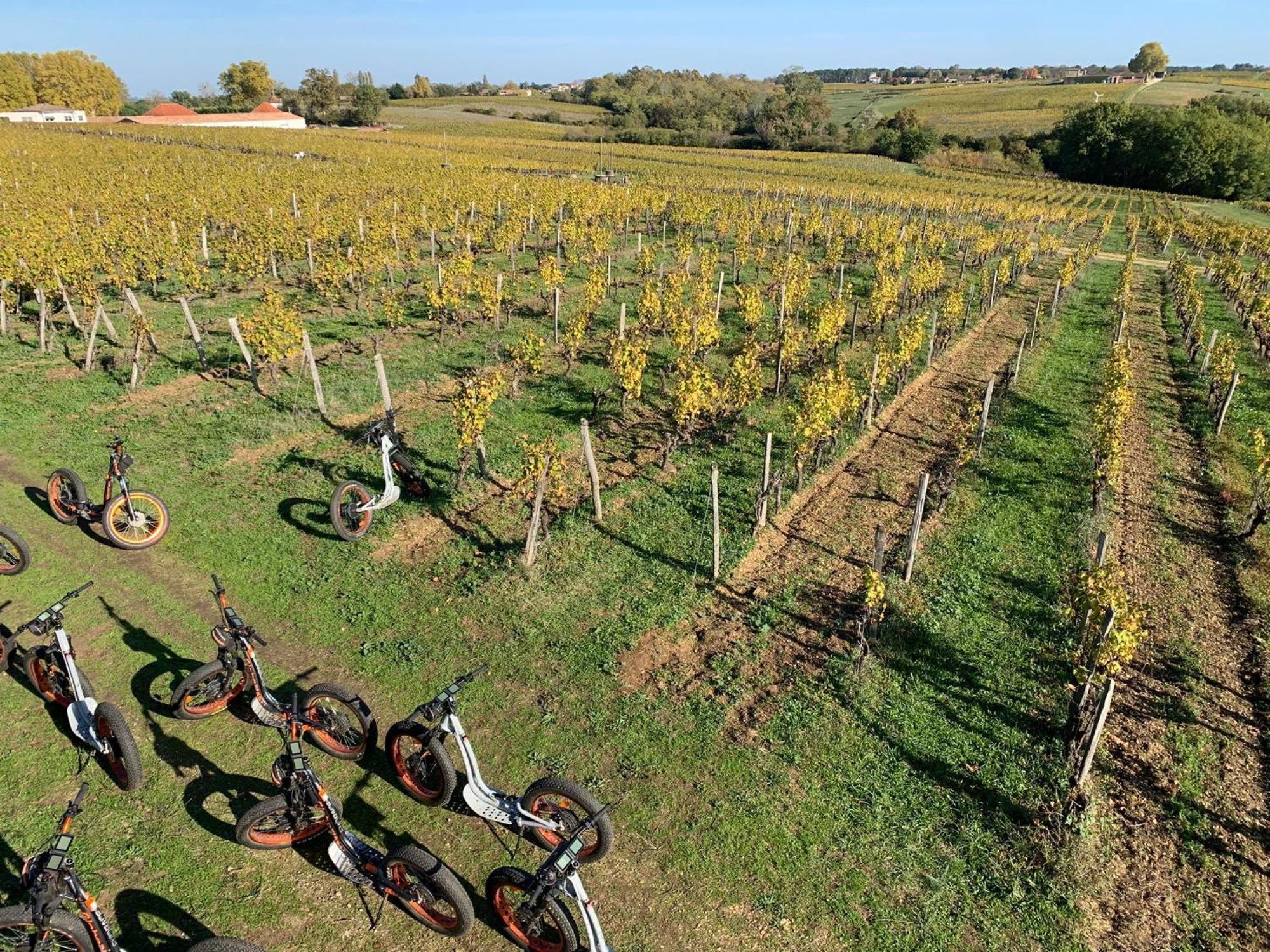 Maison 15 Sauternes Zewnętrze zdjęcie